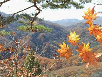 堕胎药微信巴菲特淡化近期市场波动：属投资常态 “根本不算什么”