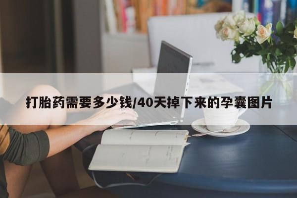 堕胎药微信打胎药需要多少钱/40天掉下来的孕囊图片