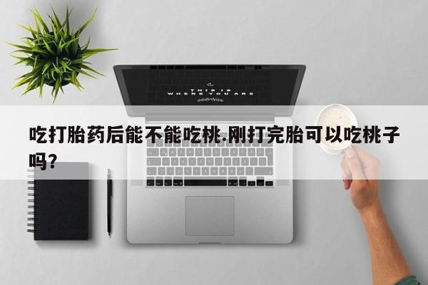 堕胎药微信吃打胎药后能不能吃桃.刚打完胎可以吃桃子吗？
